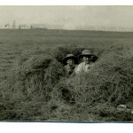 Summerfields - boys in hay. Matty and Sellycombes (?) in hayfield, 1910