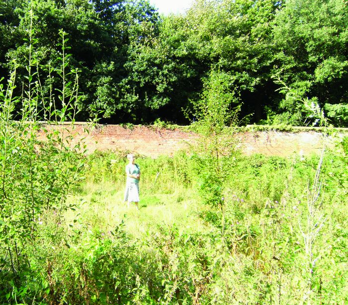 987_875.jpg Lone visitor surveys Bohemias overgrown secret walled garden now the subject of a campaign to bring it back into use