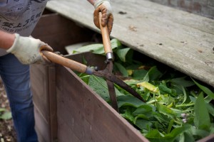 Compost bin