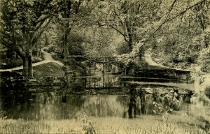 Summerfields - the Fish Ponds