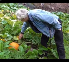 Bohemia Walled Garden Pumpkin Patch