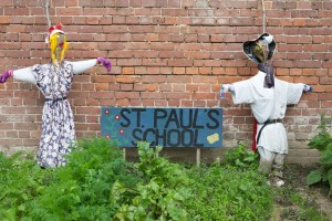 St Paul’s School and St Mary, Star of the Sea both use the garden: each has a 30m2 plot. We counted no less than six scarecrows in the garden – most are made by children and give the garden a friendly feel. Although no crows were seen, Sue Thomson says “Unfortunately the scarecrows have not kept the pigeons out”. 