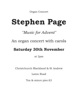 Stephen Page Concert 30 Nov 2013