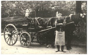 Stricklands Horse & Cart