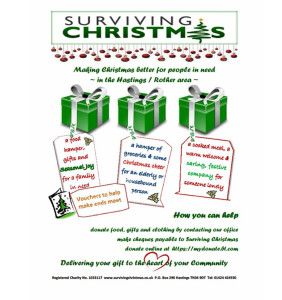 Surviving Christmas 2013  poster