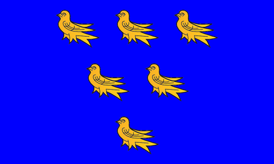 Sussex Association Flag