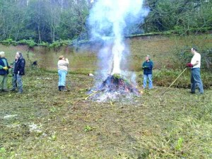 Volunteers clearing the site ... in preparation for planting some vegetables?